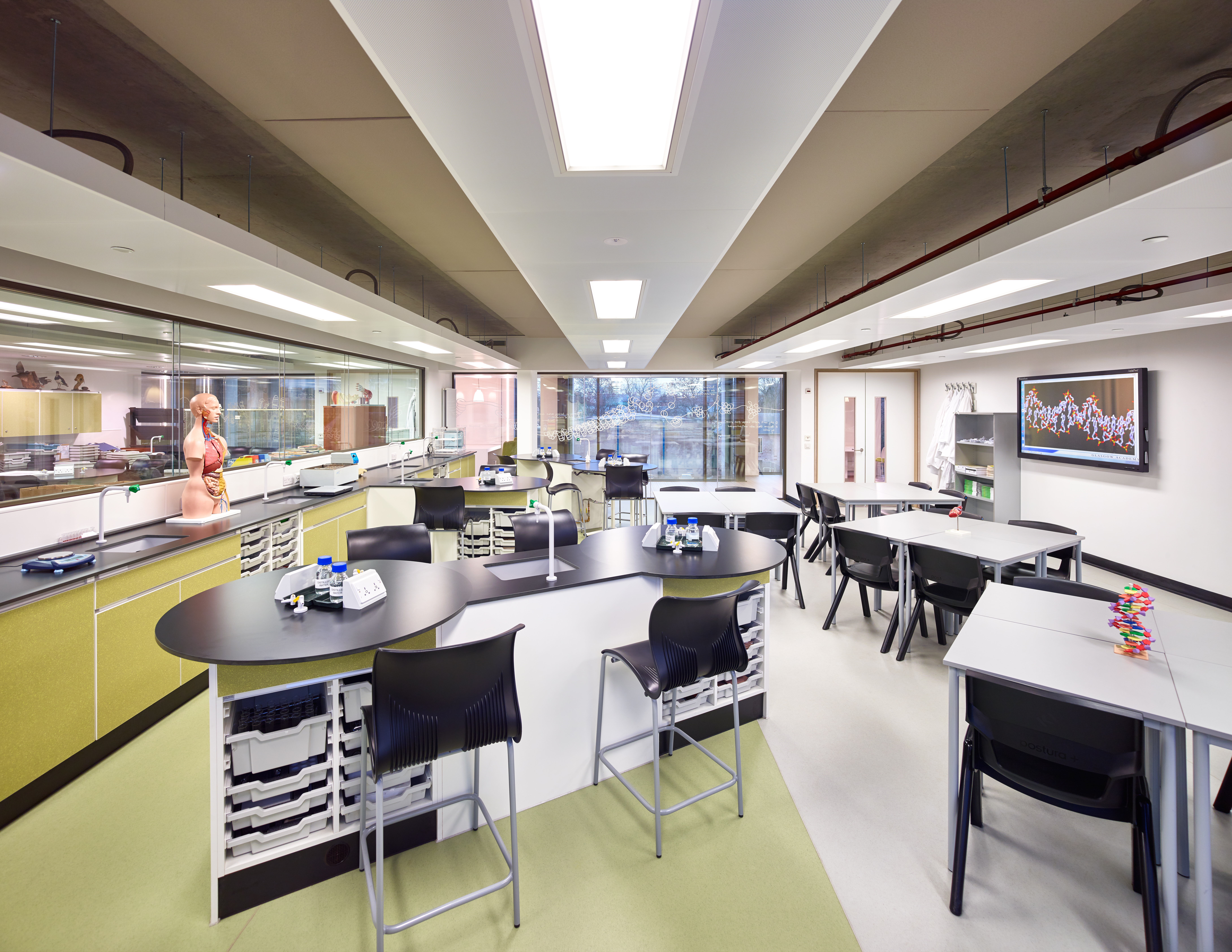 Saunders-edu-600-002.jpg (1)