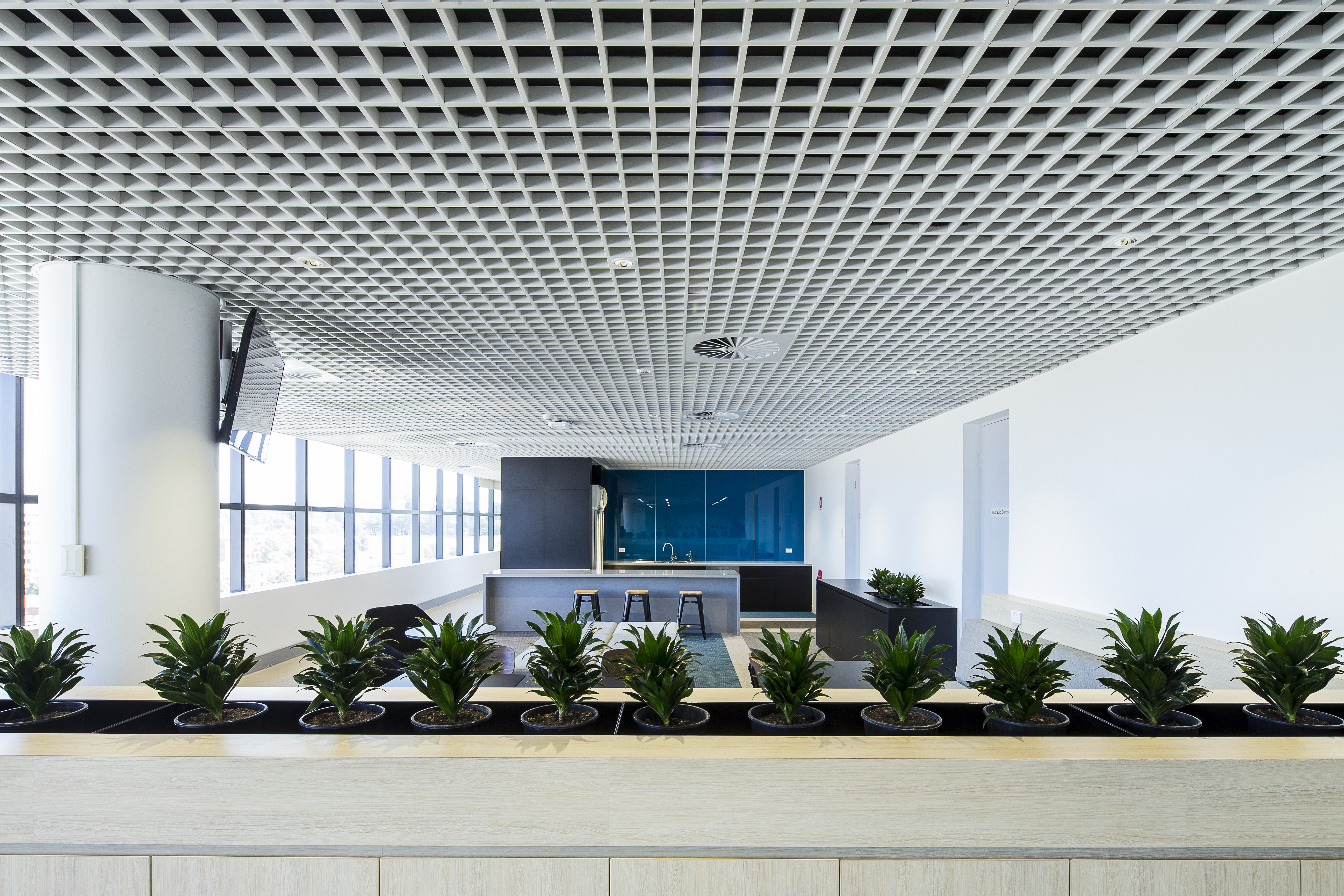 RMS-Lrg-800-com (5).jpg (1)