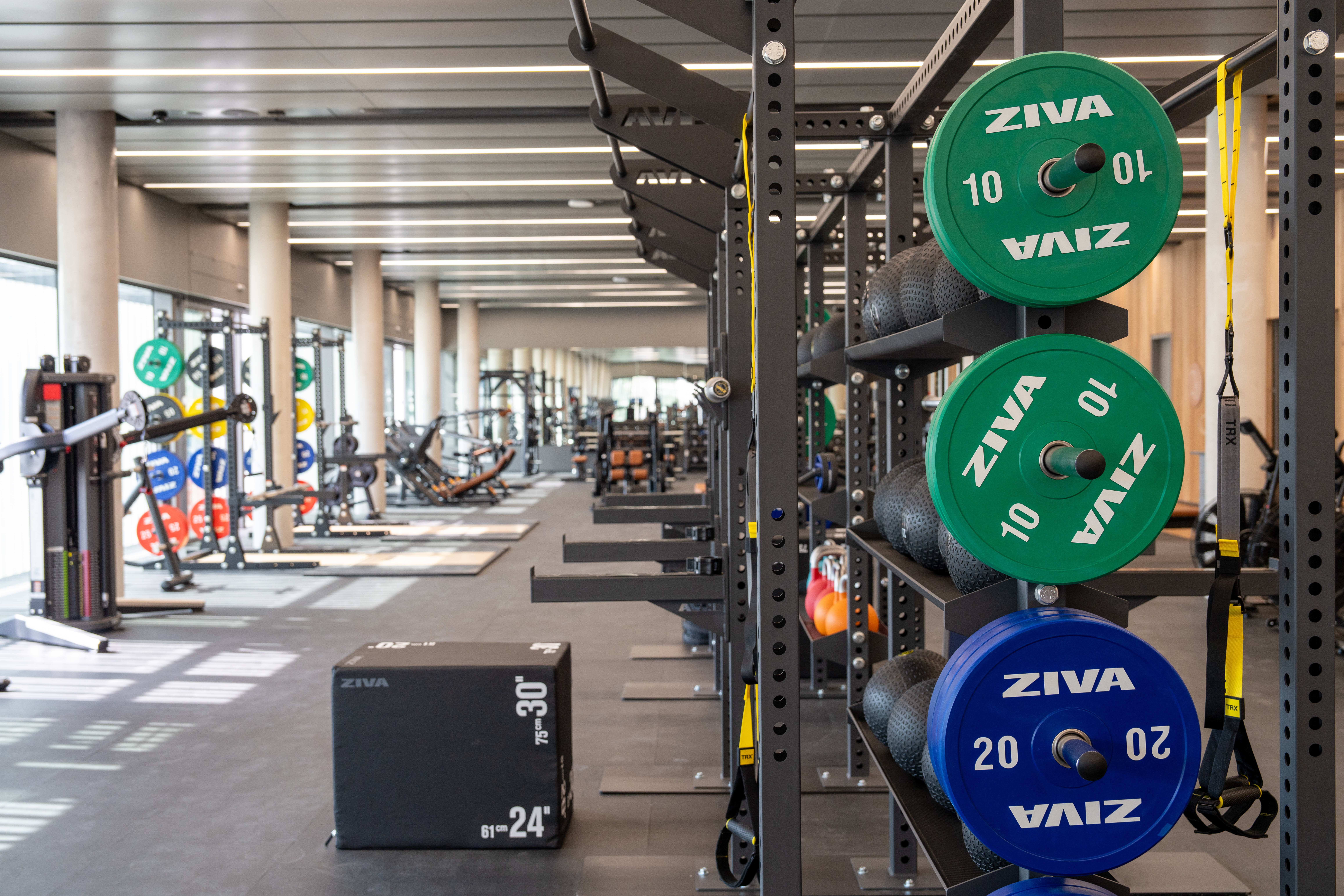 Parra 205 330 Lei Lrg (1)