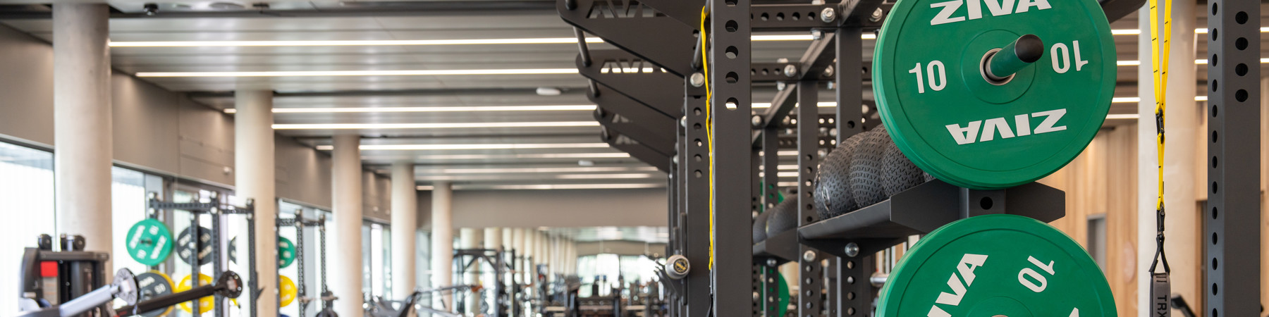 Parra 205 330 Lei Lrg (1)